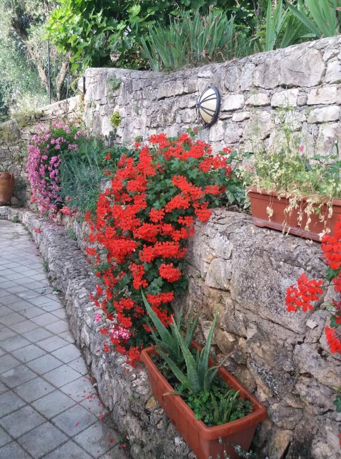 Villa La Casa Di Antonella à Vico Del Gargano Extérieur photo